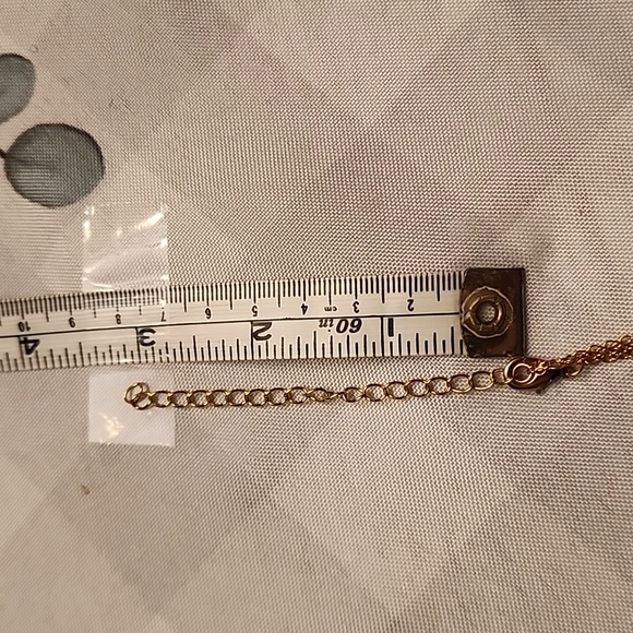 NWT Fosterie Double Chain Duo Necklace Gift Trendy - Picture 7 of 7